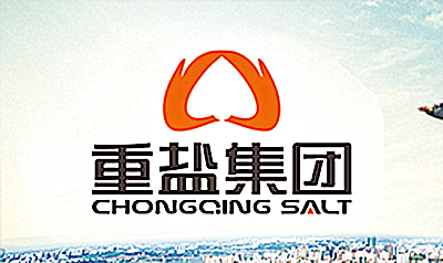重庆市盐业（集团）有限公司-打包机厂家